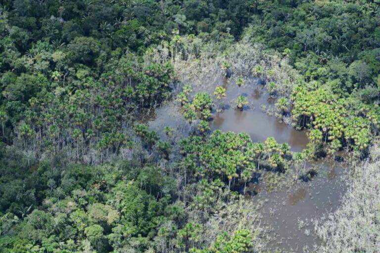 fotografía aérea-chiribiquete