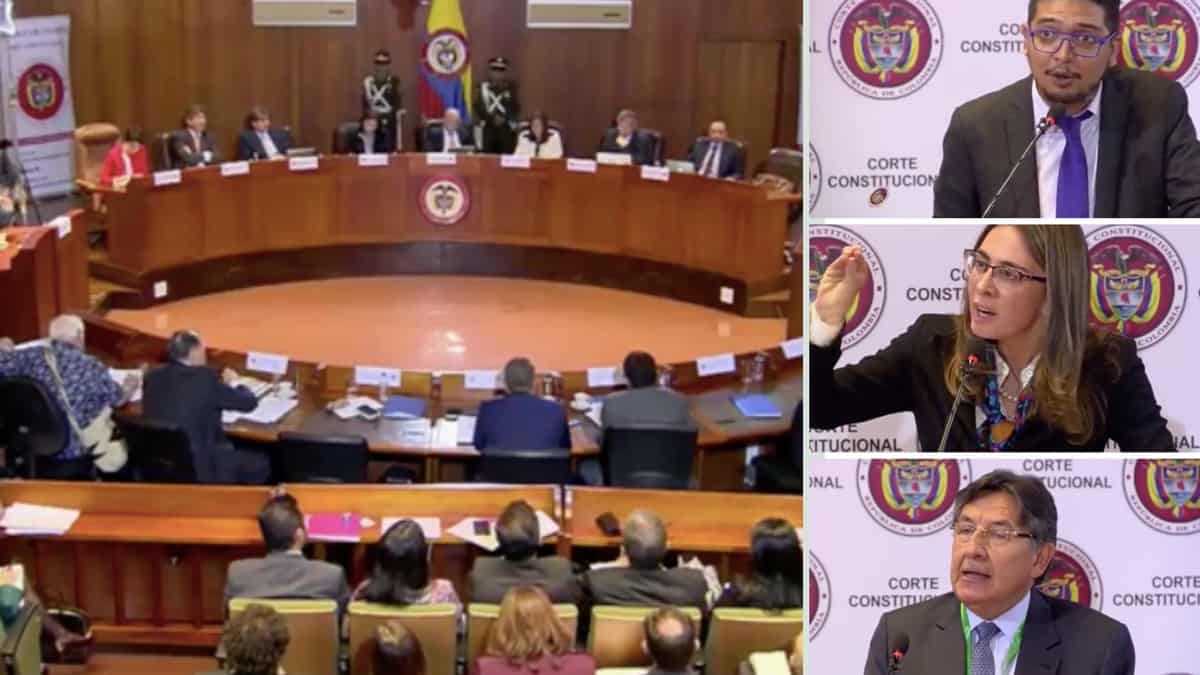 libertad de expresión, censura. Audiencia corte constitucional colombia