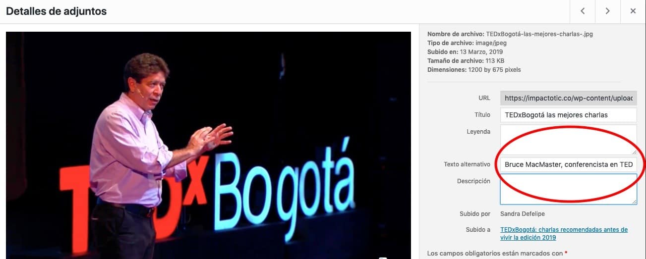 así funciona el texto alternativo para hacer el contenido accesible