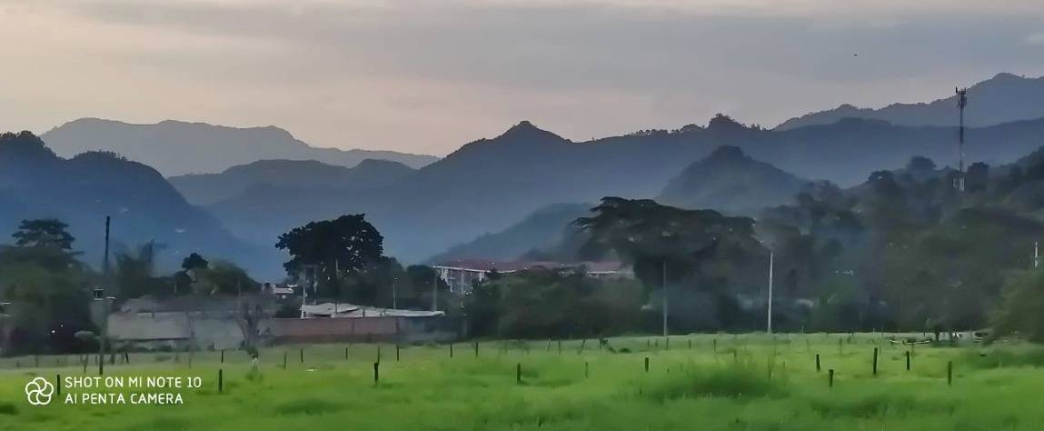 Fotografías