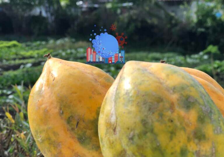 cambio de hábitos-sostenibilidad