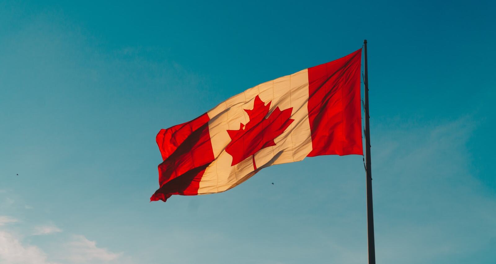 Montréal abre 200 vacantes para profesionales del sector TIC