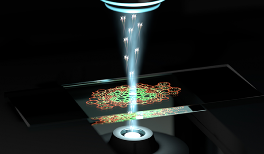 Microscopio
