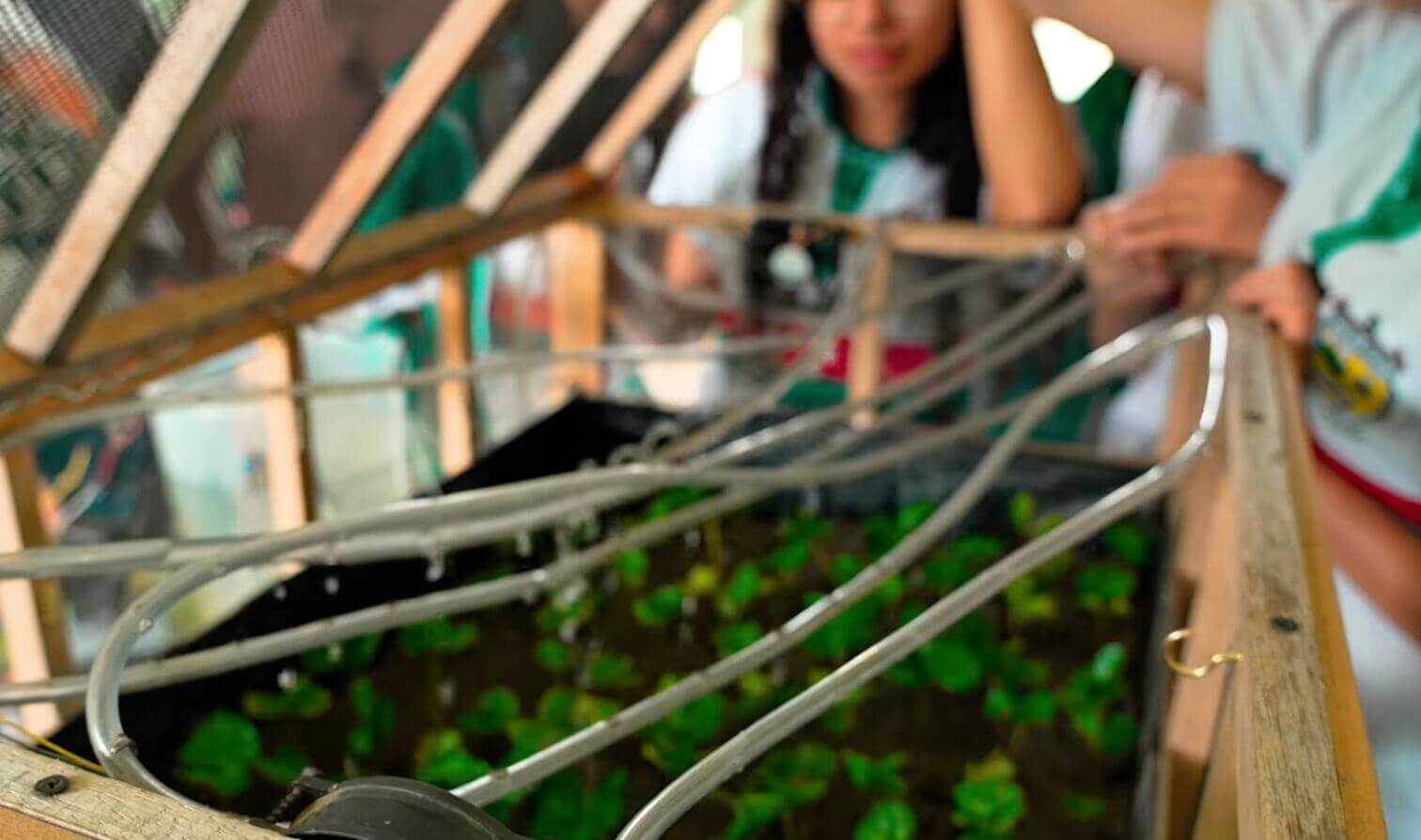 Conectividad Calarcá impulsa el Invernadero Digital