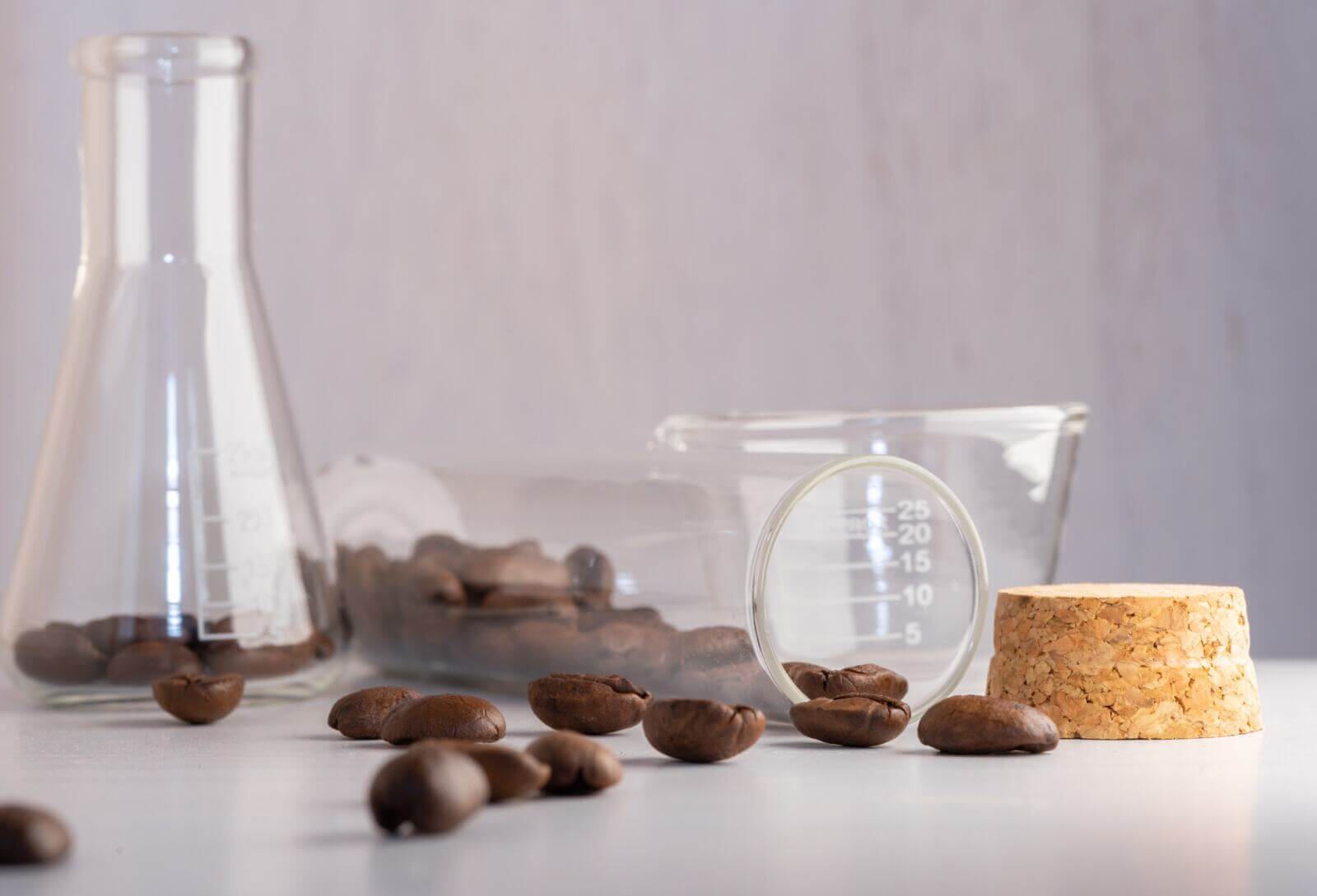 Agricultura celular de cacao: la innovación premiada de una científica colombiana